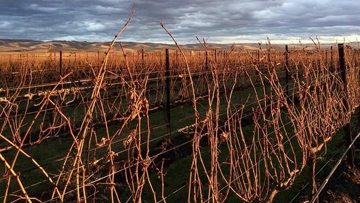 Brady Cellars Image