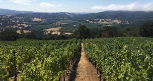Erba Mountainside Vineyards Cover Image
