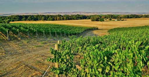 Locati Cellars Image