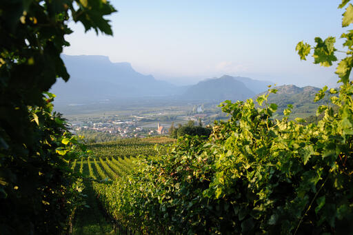 Brunnenhof-Mazzon Image