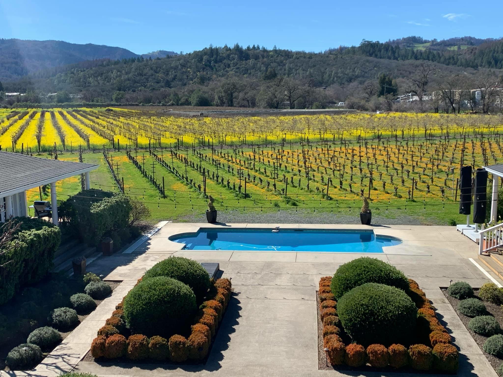 Saint Helena Winery Cover Image
