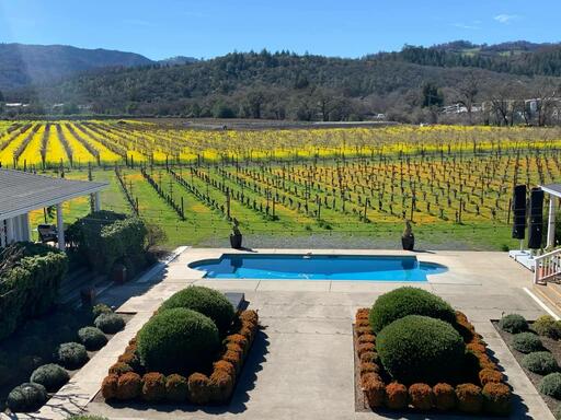 Saint Helena Winery Image