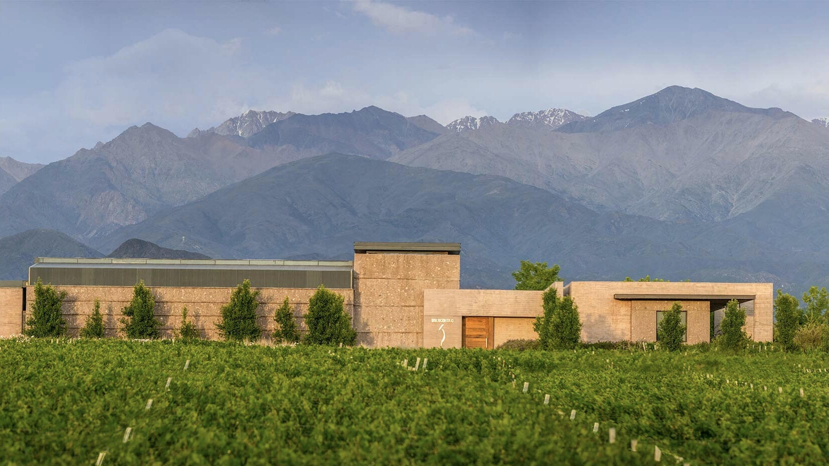 SoloContigo Wine Cover Image