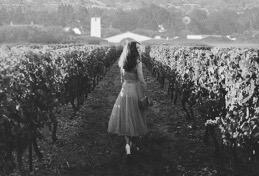 Robert Mondavi Winery Image