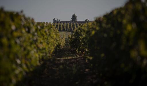 Domaines CGR Image