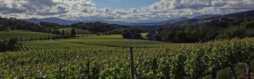 Farella Vineyard Image