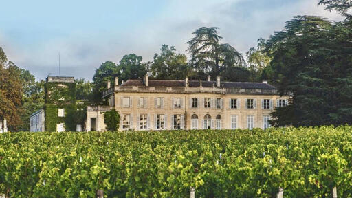 Château du Taillan Image
