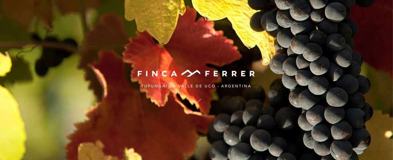 Finca Ferrer Cover Image