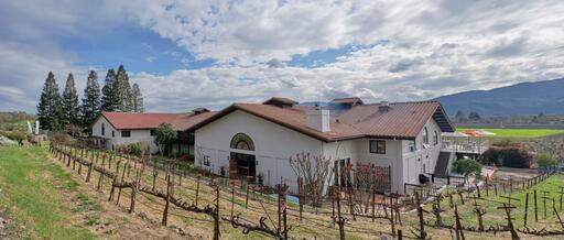 ZD Wines Image