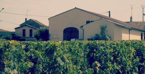 Clos Les Hauts Martins Image
