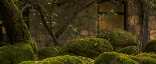 Alejandro Bulgheroni Estate Image