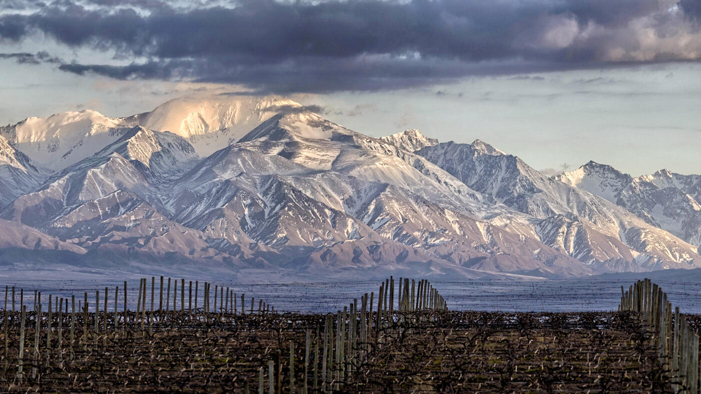 Antigal Winery & Estates Cover Image