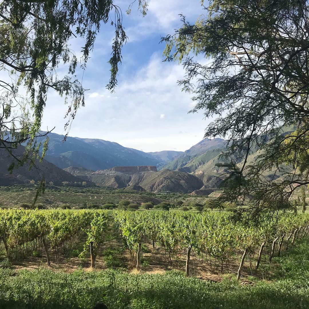 Bodega Altupalka Cover Image