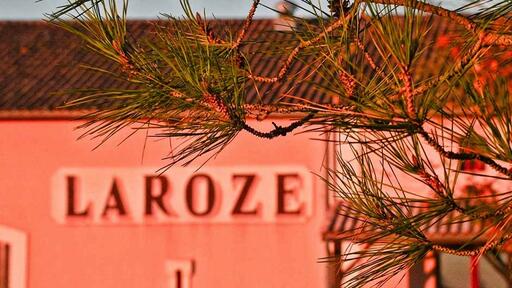 Château Laroze Image