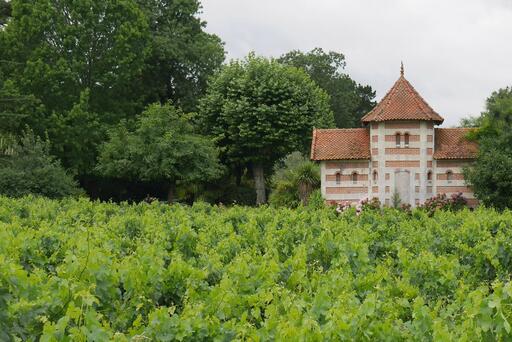 Château Pontac-Lynch Image