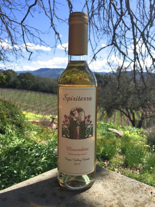 Spiriterra Vineyards Muscadine "deliciously sweet" Bottle Preview