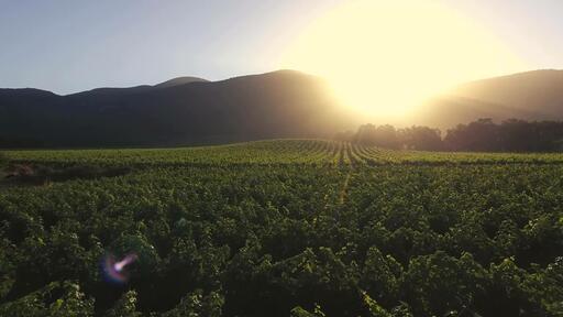 Mi Sueño Winery Image