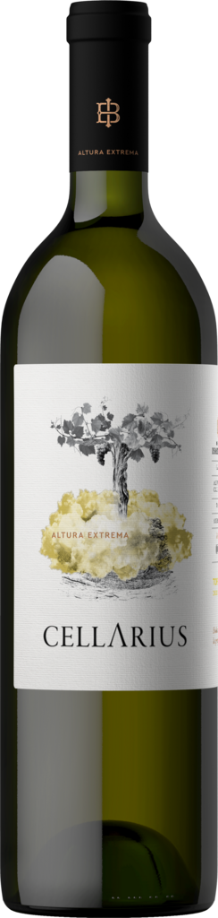 Bodega Isasmendi Cellarius Torrontés Bottle Preview