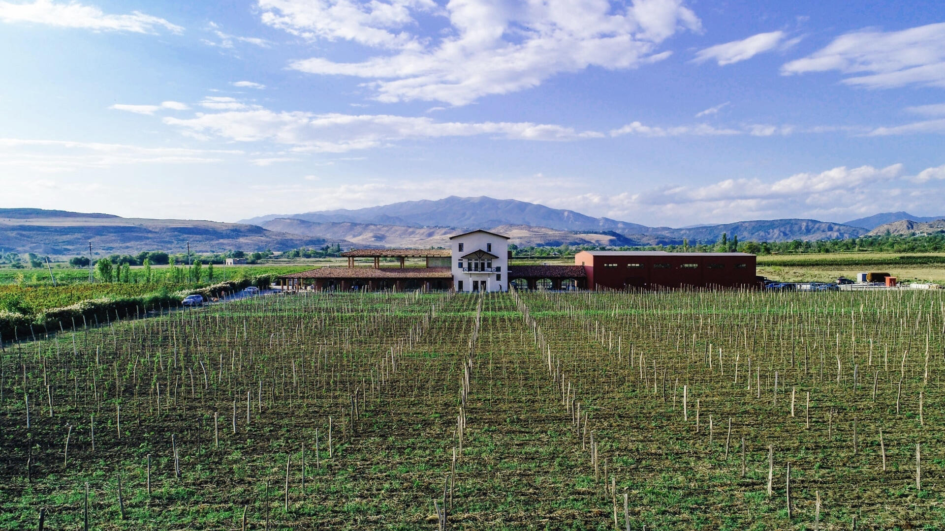 Mtevino Cover Image