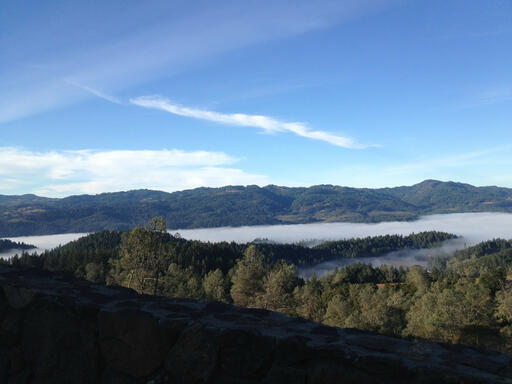 Robert Foley Vineyards Image