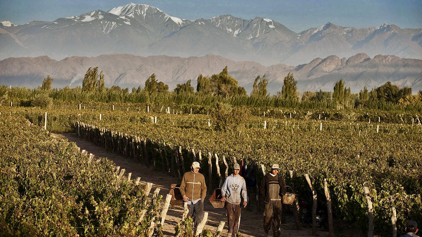 Bodega Furlotti Cover Image