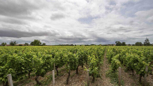 Château la Haye Image