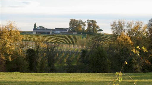 Château Lamothe-Guignard Image