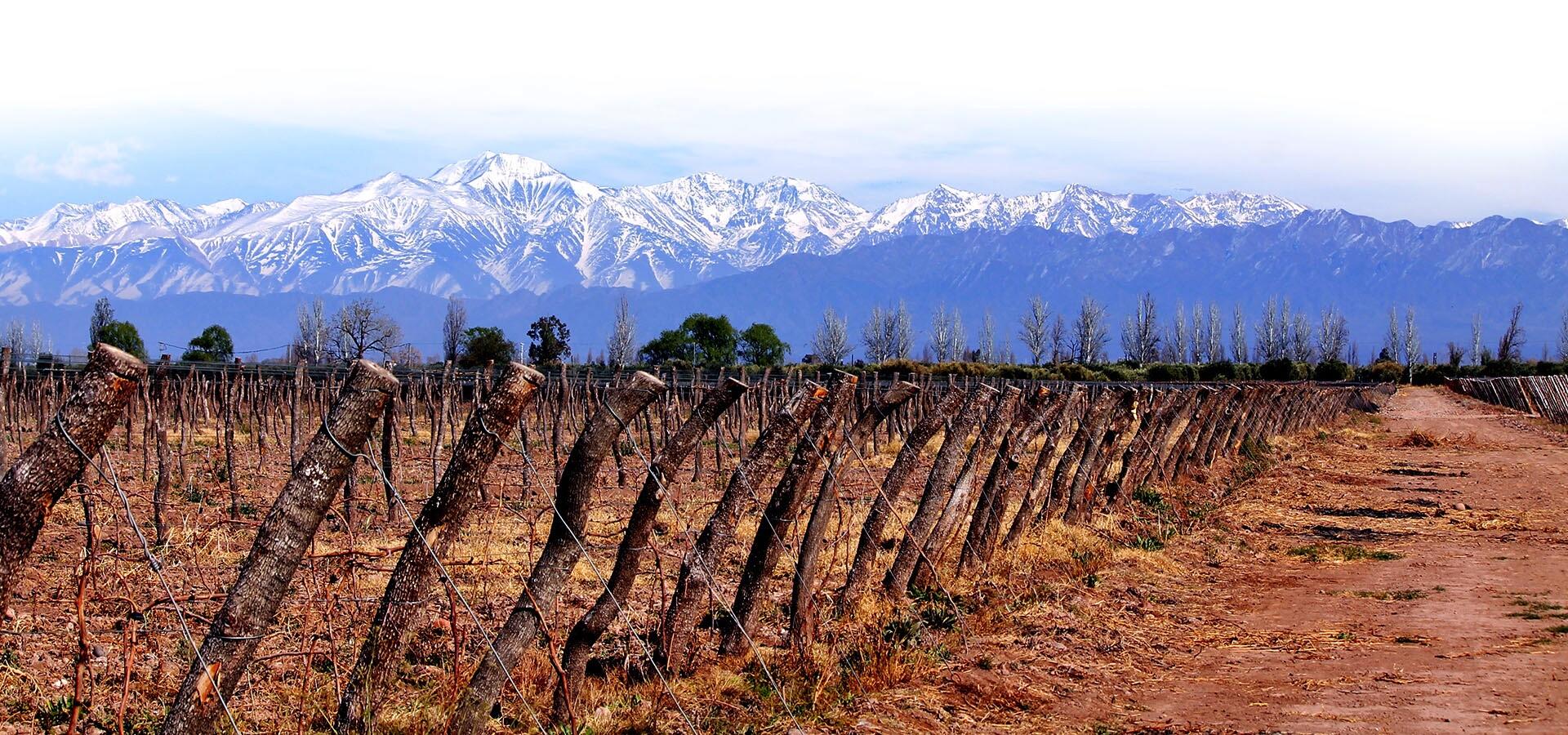 Proemio Wines Cover Image