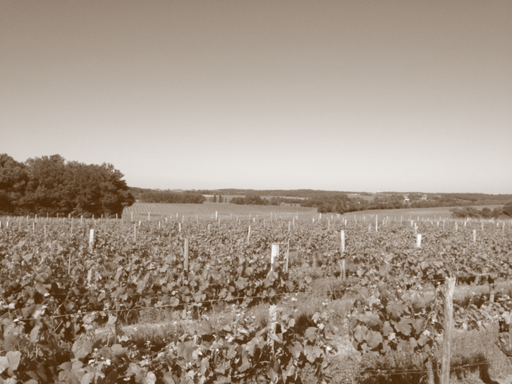Château Jaron Image