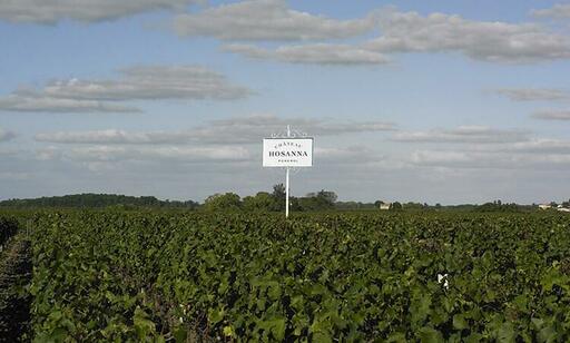 Château Hosanna Image
