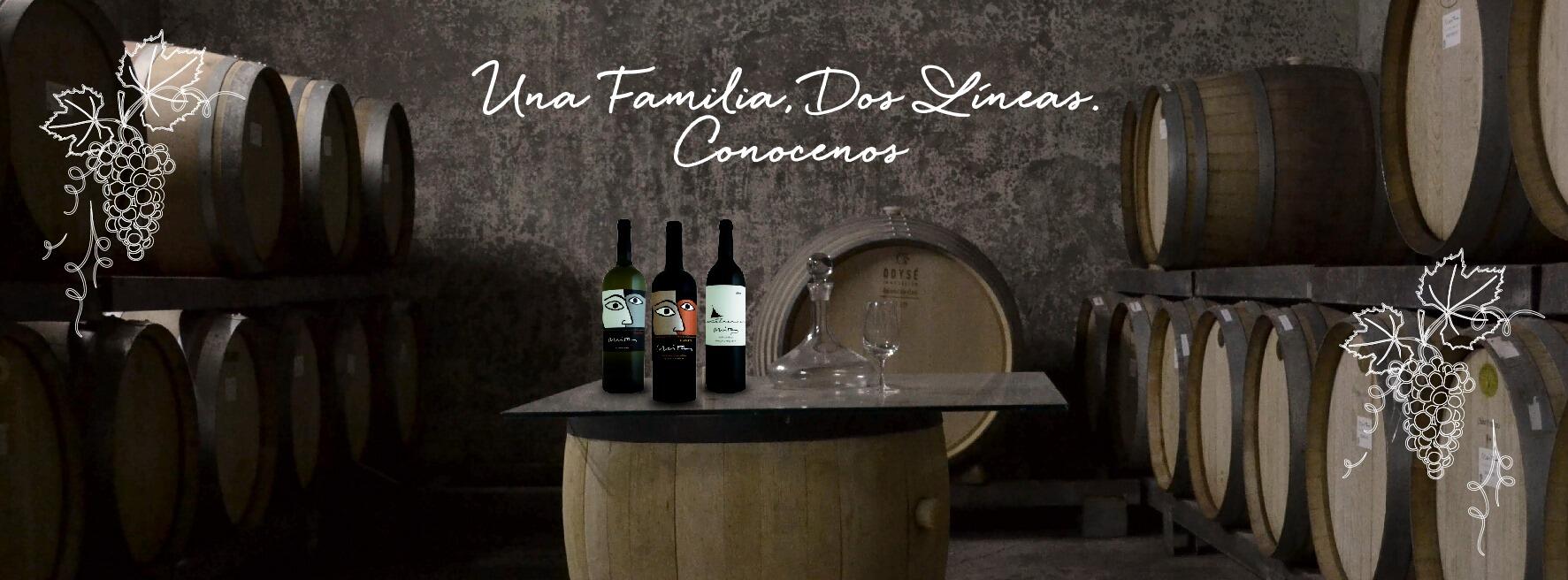 Bodega Miras Cover Image