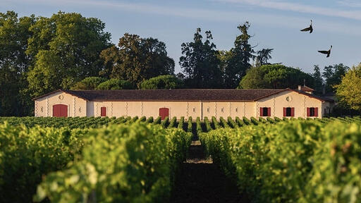 Château Brown Image