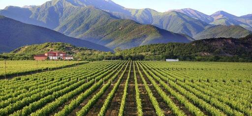 Winery Chelti Image