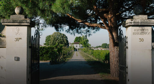 Château Quinault l’Enclos Image