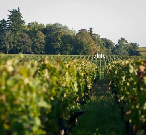 Château d'Hanteillan Image
