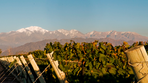 Bodega Septima Image