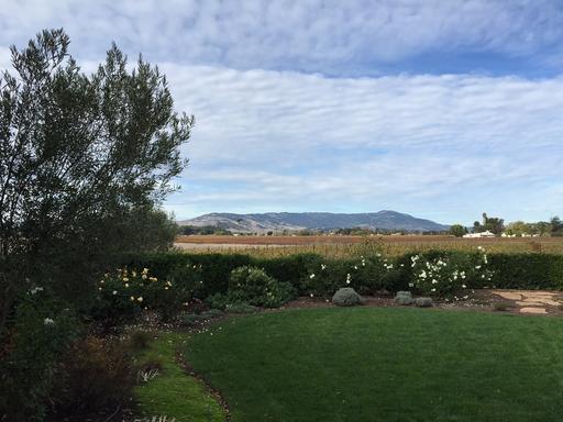 Anaba Wines Image