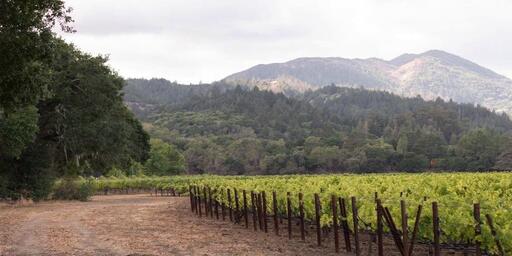 Schrader Cellars Image