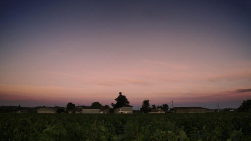 Château Le Bon Pasteur Image