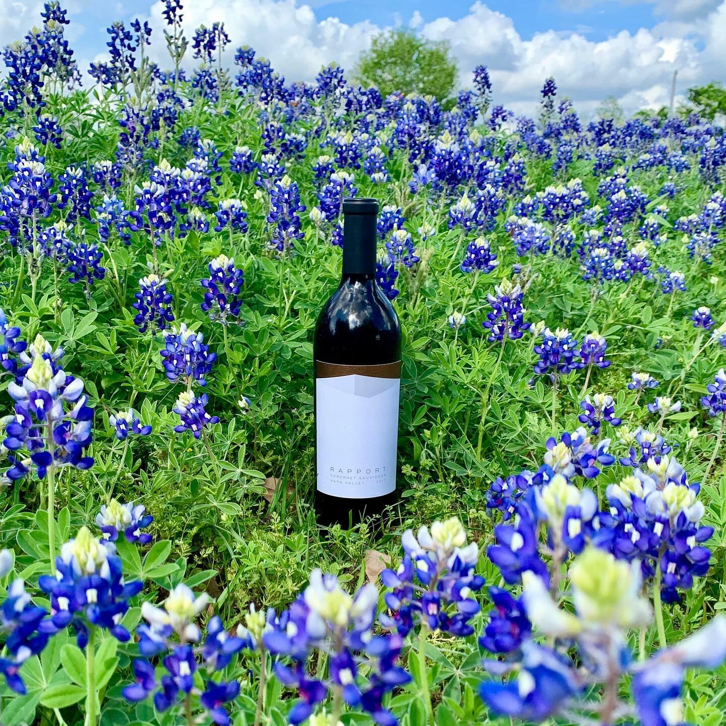 Rapport Wines Cover Image