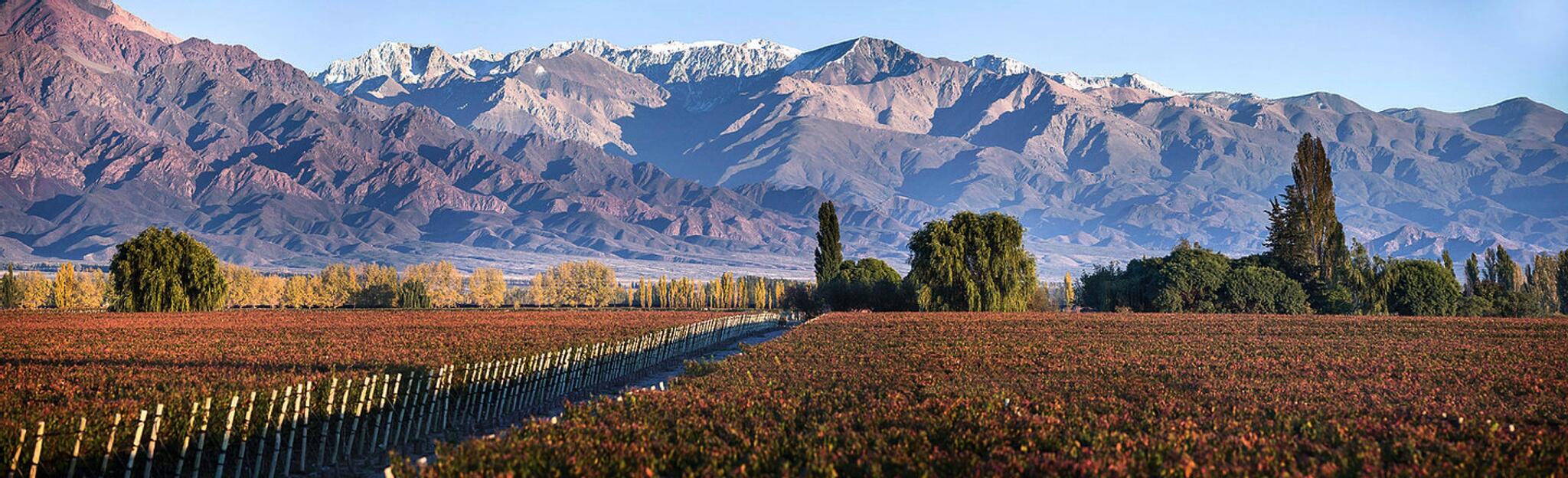 La Igriega Wines Cover Image