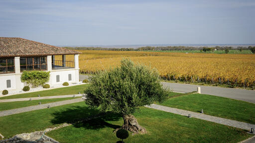Château Sociando-Mallet Image