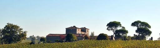 Château Peneau Image