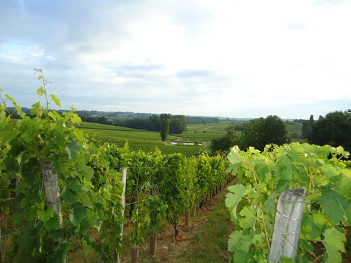 Château Valandraud Image