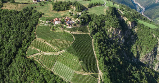 Rielingerhof Image