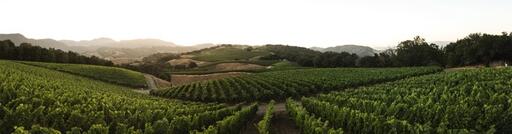Progeny Winery Image