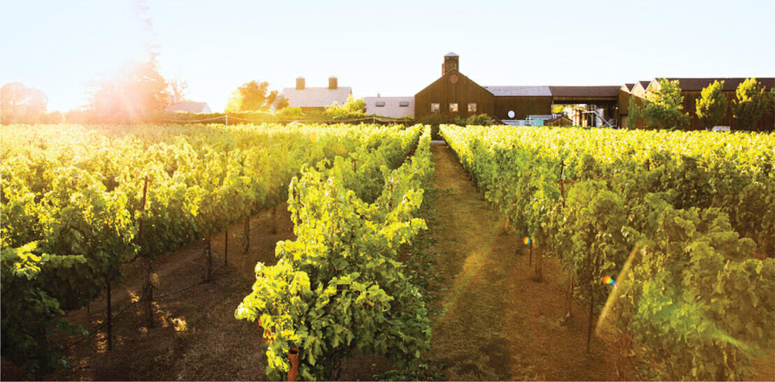 Turnbull Wine Cellars Cover Image