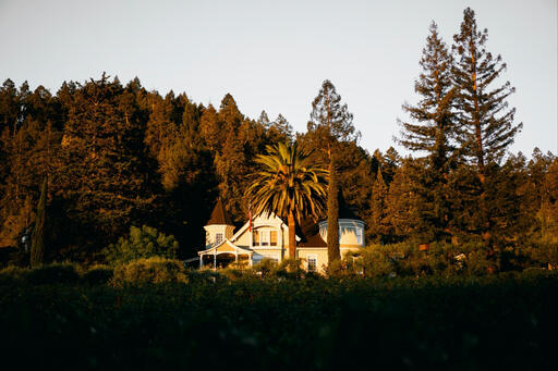 Grace Family Vineyards Image
