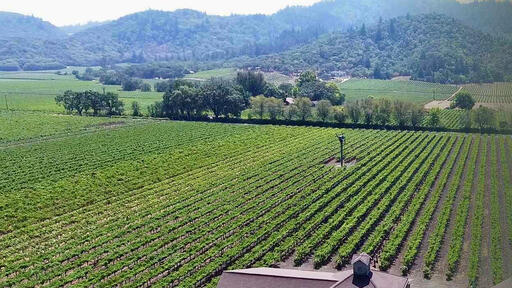 Paradigm Winery Image