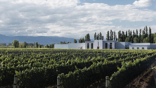 Bodega Foster Lorca Image